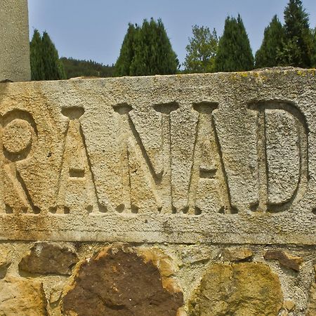 Hospedaje Granada Сан-Вісенте-де-ла-Баркера Екстер'єр фото